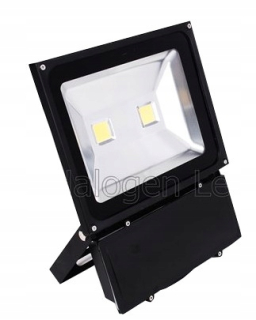 Záhradné halogény - Halogénové LED 100 W 2XCOB 3000K IP65 23 cm x 28 cm