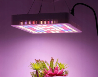 Lampa na pestovanie raslín - 600 W rastlina pestovateľská žiarovka