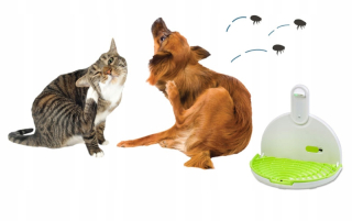 Repelent proti hmyzu - MyFleatrap Ecological Flea Trap + napájanie