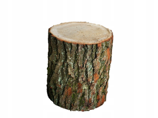 Dekorácia do záhrady - Sedadlo Pieryk Powek Oak Wood 30 cm