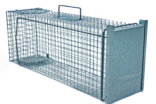 Żywołapka Trap kuny kuny super labk + zadarmo