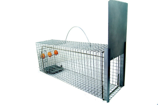 Život, Marten Trap, Cats, Rats, Paw Hit!