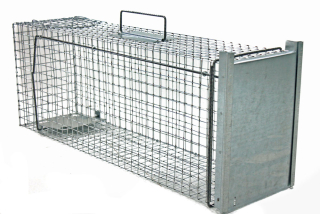 Żywołapka Trap Rat Kuny Cats, Minks of the Paw