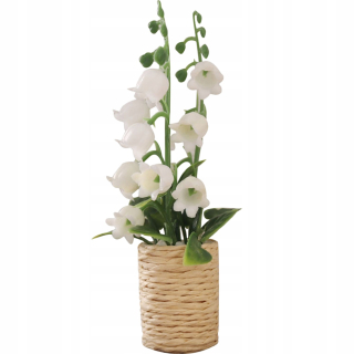 Dekorácia do záhrady - Hyacinth Green Plant Plant Pots Malý hrniec