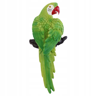 Jeden -kus jedného -kusa Parrot Model
