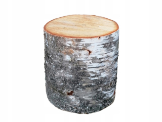 Dekorácia do záhrady - Záhradný Peniek Trunk Bonfire Birch Scratching 25 cm