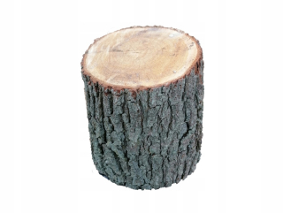 Dekorácia do záhrady - Záhradný Peniek Trunk Bonfire Oak Scratching 25 cm