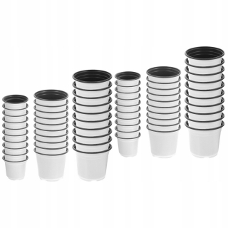 Sukulents Pot 60 ks